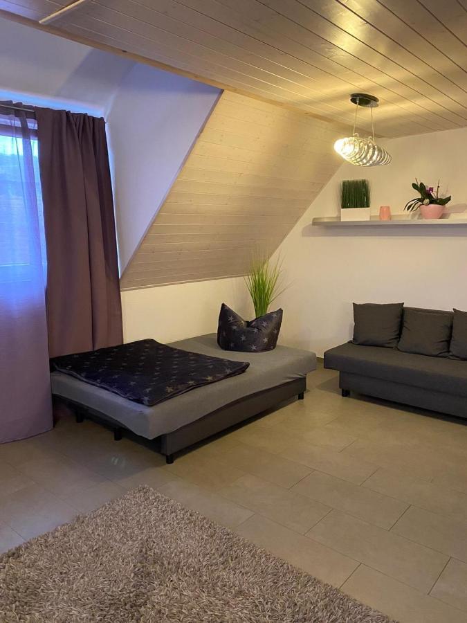 Ferienwohnung Sinsheim Esterno foto